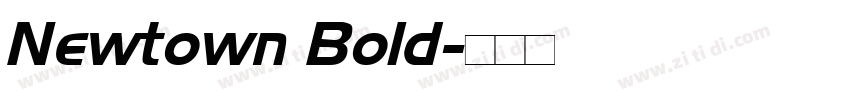 Newtown Bold字体转换